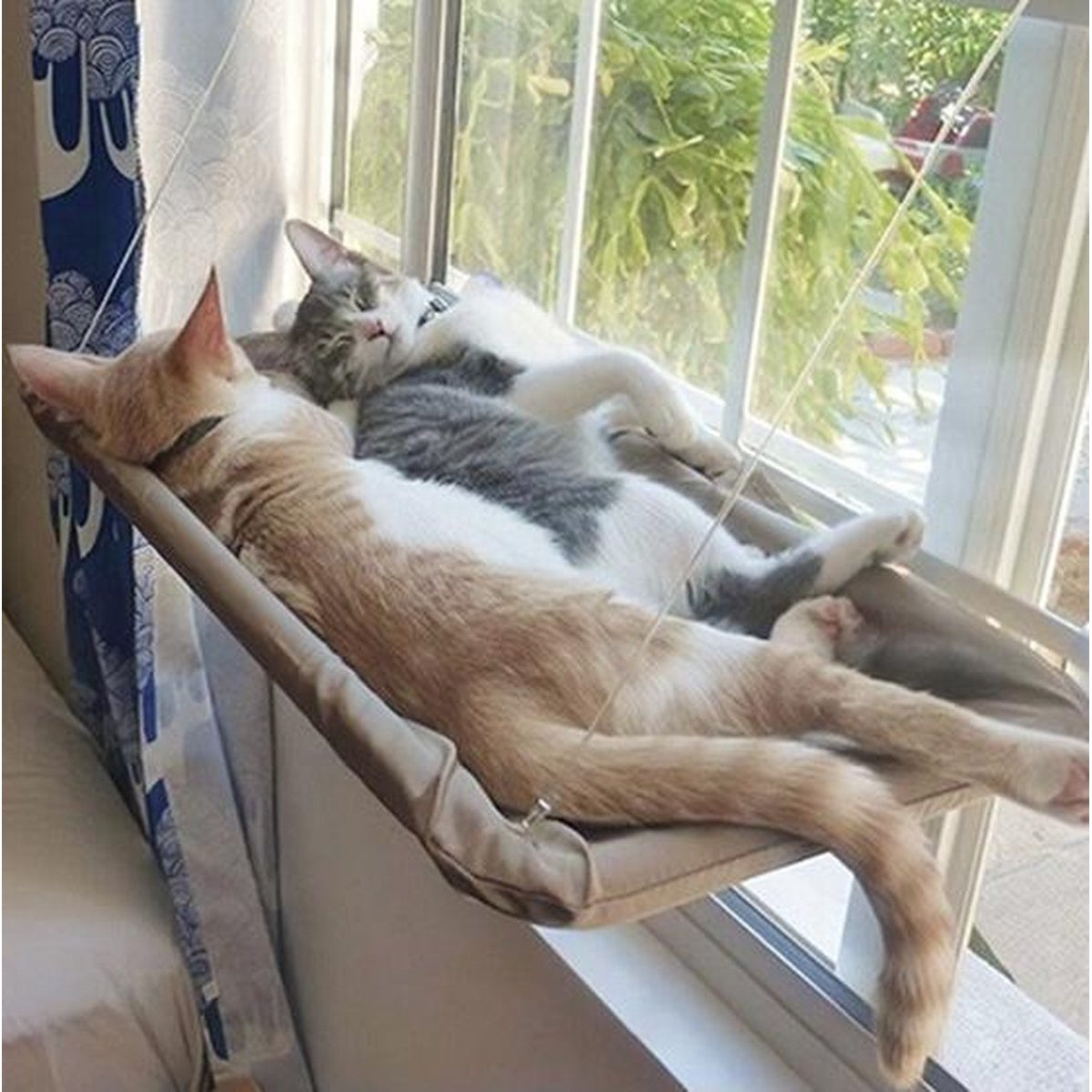 Nixnix - Kattenhangmat - Grijs - Hangmat kat - Katten mand Raam - Kattenbed - Kattenkussen - Ligmat voor het venster - tot 17,5kg - 55 x 35x 2,5 cm - Zomer
