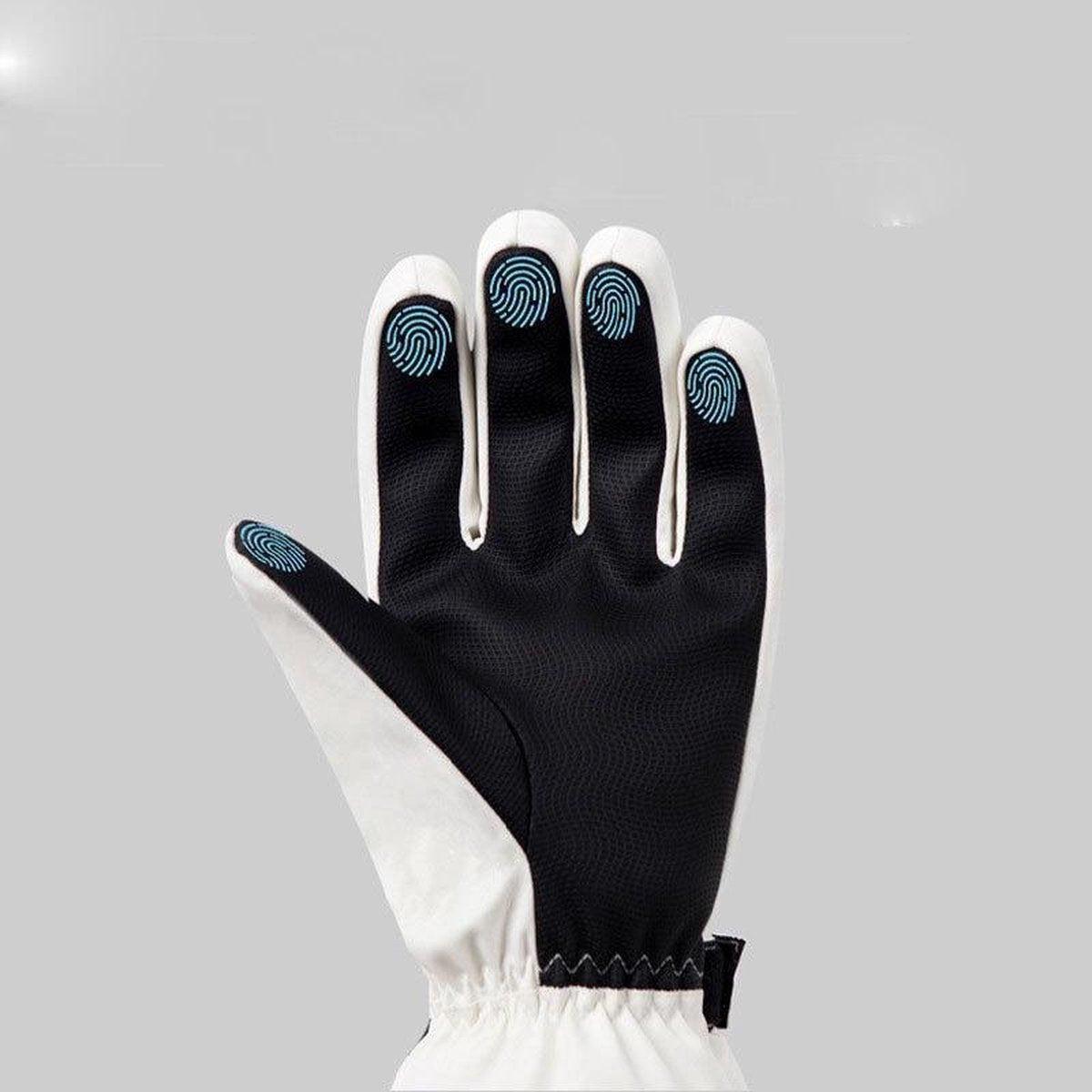Ski handschoenen - Zwart - Maat L