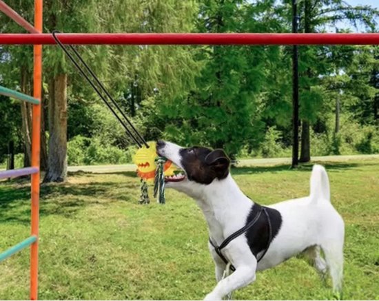 Dog Toy Ball with Rope - Yellow - Chew Bone - Dog Toy - Chew Toy - Indestructible - Fetch - Suitable for all dogs