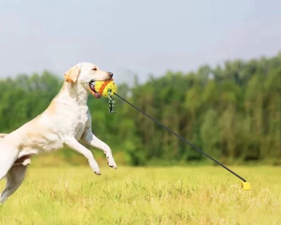 Dog Toy Ball with Rope - Yellow - Chew Bone - Dog Toy - Chew Toy - Indestructible - Fetch - Suitable for all dogs