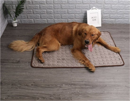 Koelmat - Dieren - 100cm x 70cm - Grijs - Verkoeling - Hond - Kat