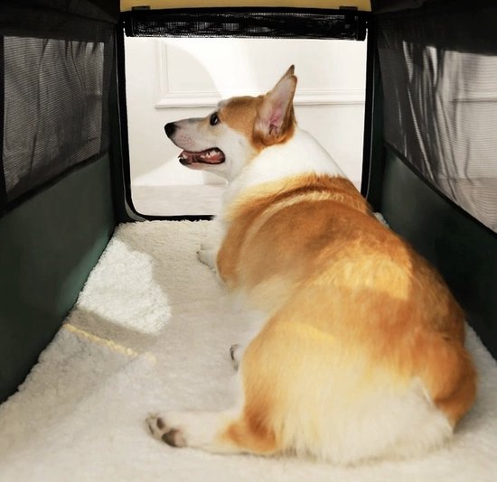 Opvouwbare Hondenbench - Maat L - Hondenbench - Hond - Mand - Vervoer - Groen - Draagbaar - Tas -