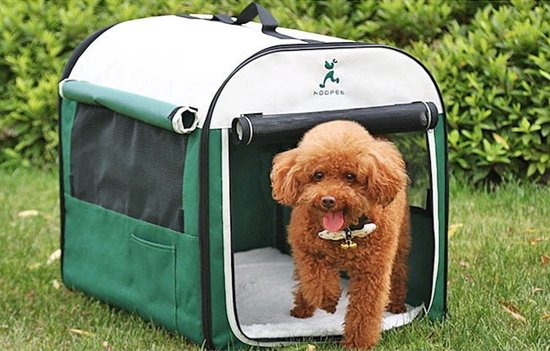 Opvouwbare Hondenbench - Maat S - Hondenbench - Hond - Mand - Vervoer - Groen - Draagbaar - Tas
